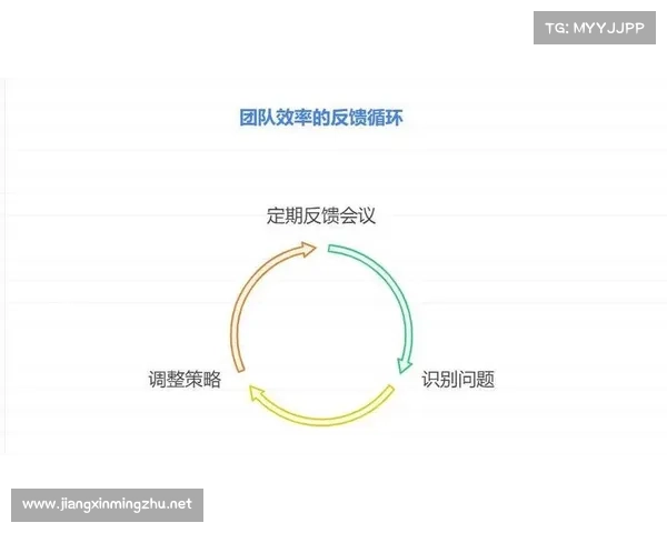 提升团队协作效率与光辉装备辅助的最佳策略解析