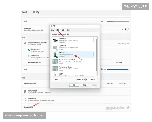 提升语音魅力的必备工具：MorphVox Pro软件全面解析与使用技巧