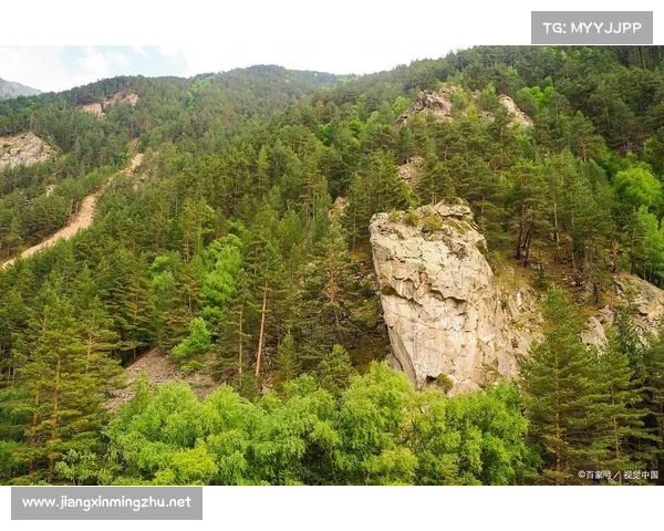 永歌森林探秘：五大自然奇观带你领略原始魅力与神秘生态