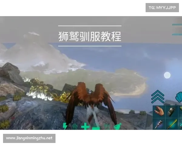 狮鹫训练的核心要素:关键技巧与必备知识 狮鹫训练的核心要素:关键技巧与必备知识