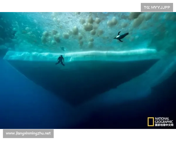 深海秘境探险指南:揭开深海传说与未解之谜的神秘面纱 深海秘境探险指南:揭开深海传说与未解之谜的神秘面纱