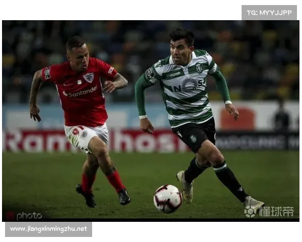 揭开阿库尼亚未登场的真相与对剧情发展的深远影响分析